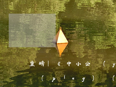 重磅 |《中小企業(yè)合規(guī)評(píng)價(jià)認(rèn)證標(biāo)準(zhǔn)》起草人征集審核中